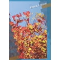thumbnail image 1 of Luck & live (Paperback), 1 of 1