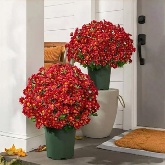 Luckcia Faux Mums, Booneb Mums, Artificial Outdoor SunsetMums Flowers, Artificial Sunsetmums- UV Resistant, Waterproof, Windproof, Fake Fall Flower Daisy with Eucalyptus (5 Bundle of Scarlet)
