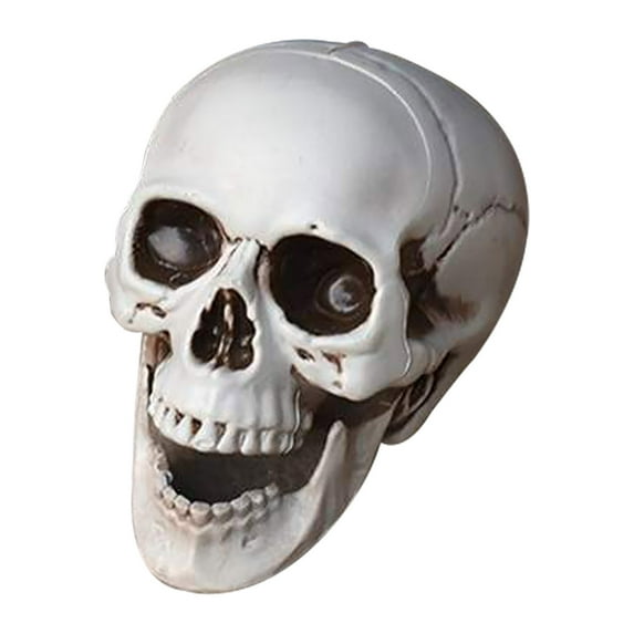 Luckky 1 Pieces Halloween Skull, Plastic Realistic Looking Skeleton Skull Human Skeleton Head Fake Skull Decor Miniatures for Crafts Halloween Decorations for Home Table Bar Decor, 4 Styles