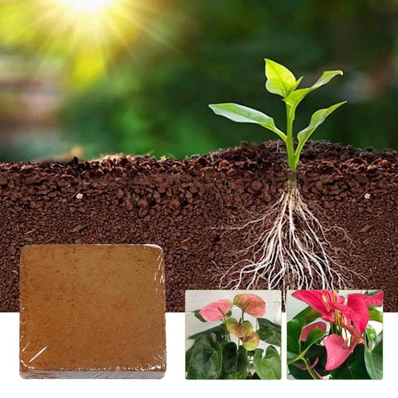 Luckky Organic Coco Coir Bricks for Plants, Pre-Rinsed Coconut Coir Soil Amendment,Compressed Coco Peat Potting Mix & Seed Starter for Home & Apartment Gardening