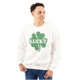 thumbnail image 1 of Lucky 4 Leaf Clover St Patrick's Day Unisex Plus Fleece Graphic Sweatshirt Brisco Brands 3X, 1 of 5