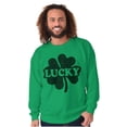 thumbnail image 1 of Lucky 4 Leaf Clover St Patrick's Day Unisex Plus Fleece Graphic Sweatshirt Brisco Brands 3X, 1 of 2