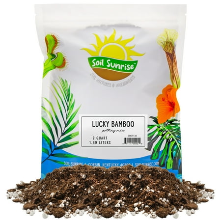 Lucky Bamboo Plant Potting Mix (2 Quarts), Custom Soil Mix for Repotting