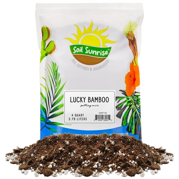Lucky Bamboo Plant Potting Mix (4 Quarts), Custom Soil Mix for Repotting