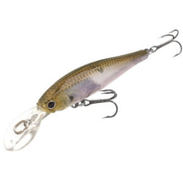 Lucky Craft Pointer 100DD Jerkbait Deep Diving Bass Lure Lucky Craft Pointer 100DD-S Jerkbait - Deep Diving Bass Lure For Freshwater Fishing Saltwater Surf Fishing Lure Lucky Craft Pointer 100DD Jerkbait Deep Diving Bass Lure Lucky Craft Pointer 100DD-S Jerkbait - Deep Diving Bass Lure For Freshwater Fishing Saltwater Surf Fishing Lure