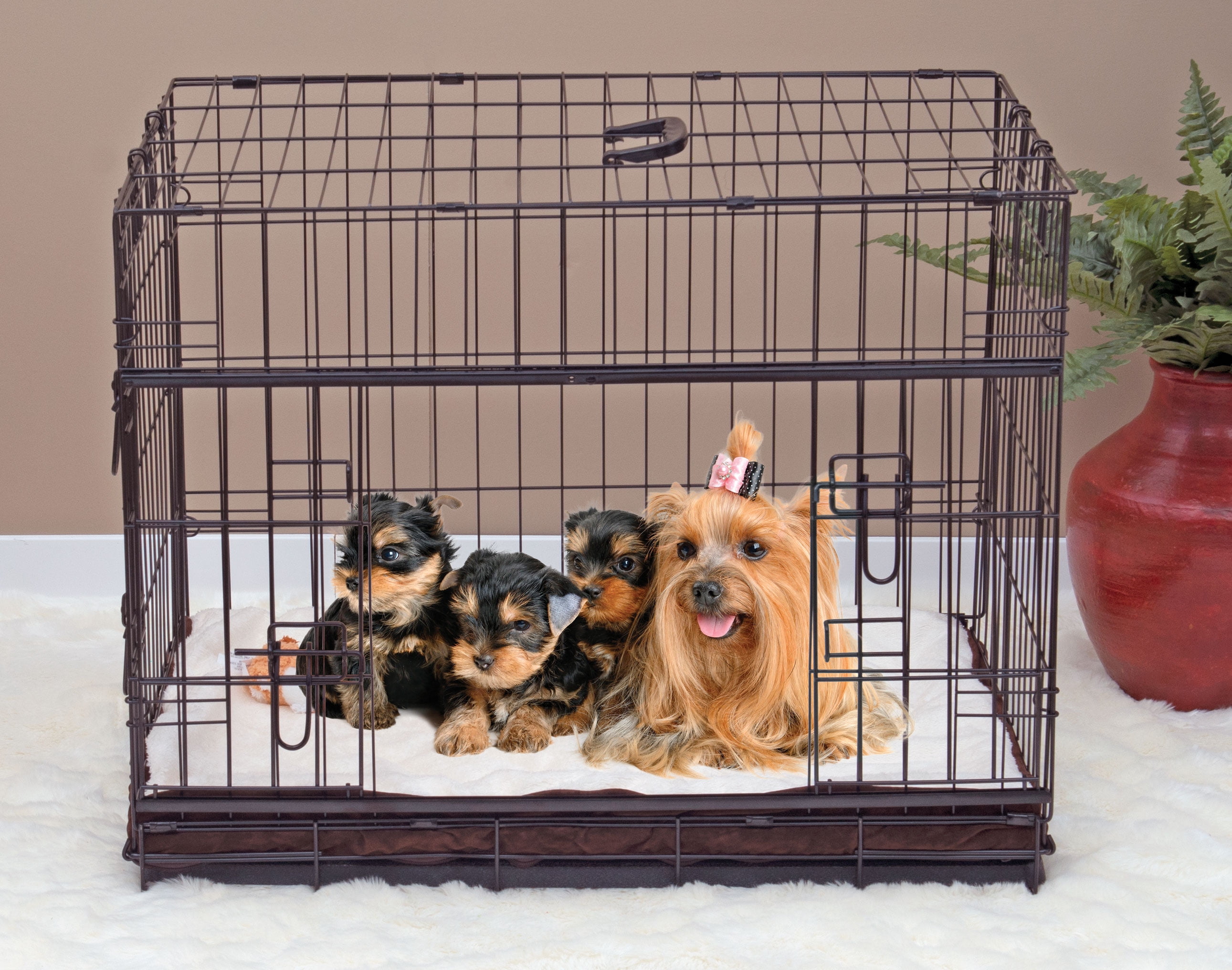 Extra Small Black Wire Double Door Dog Crate