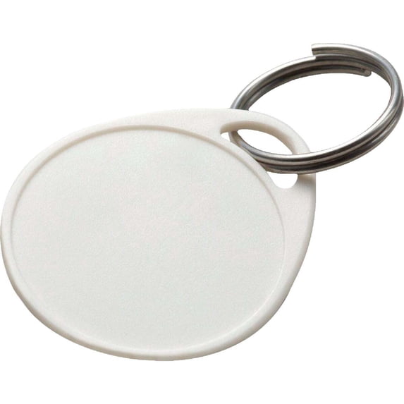 Lucky Line Label-It Plastic Key Tag - 1-1/4 In. Split Ring - 25 Pack