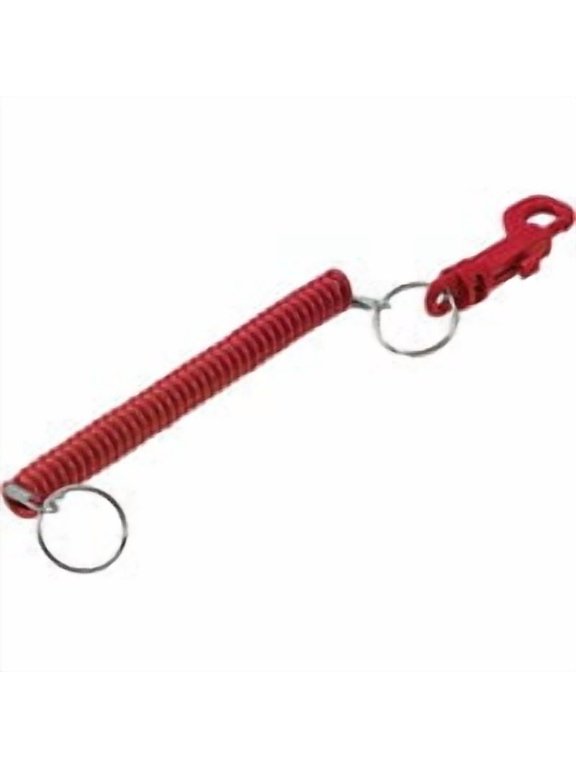Designer Coil Key Chain - Pack of 10