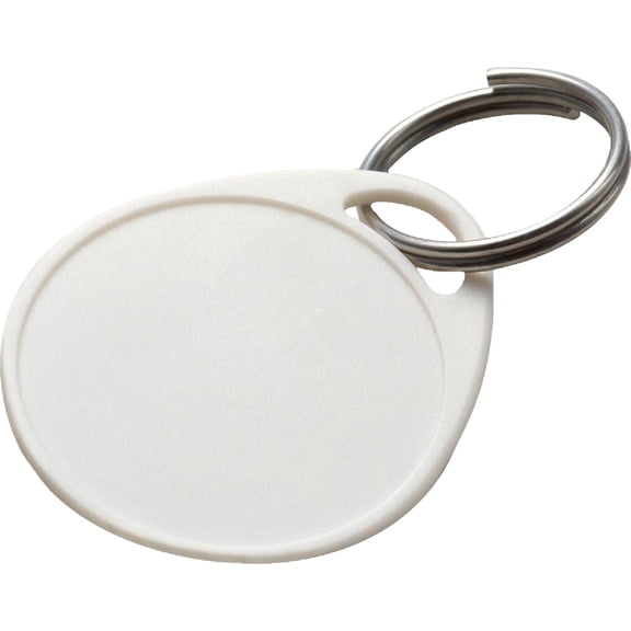 Lucky Line Plastic Key Tag - Pack of 6