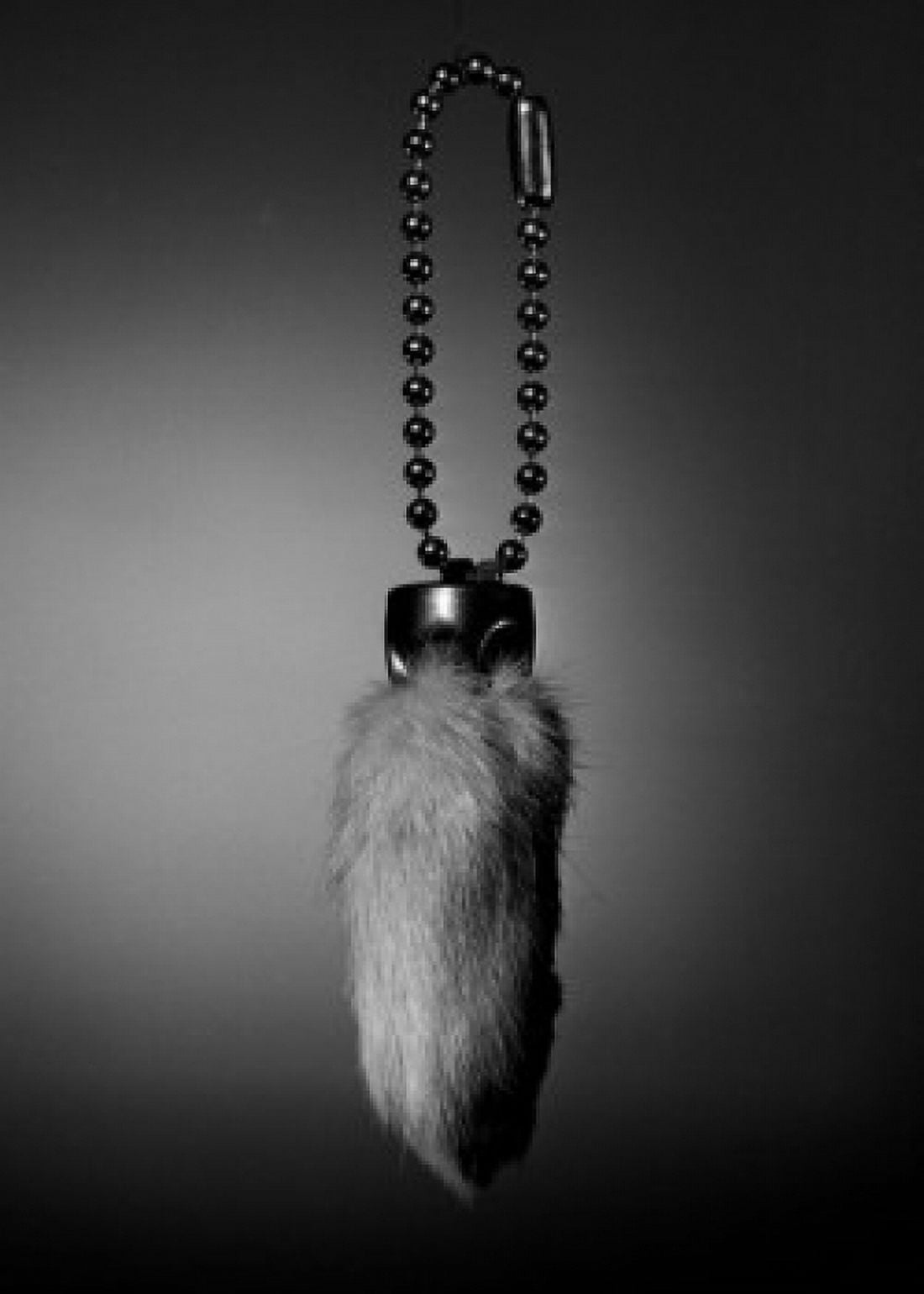 Lucky Rabbits Foot Canvas Art - (24 x 36)