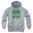 thumbnail image 1 of - Lucky To Be Irish - Youth Hooded Sweatshirt - Small, 1 of 2
