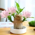thumbnail image 1 of Lucky Wood Desk Ornament with Base and Surprise Doll, Modern Home Office Desk Decor, Decorative Figurine for Shelf Table, Good Luck Gift for Women Men Coworkers（Pink）, 1 of 8