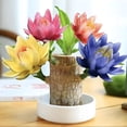 thumbnail image 1 of Brazilian Lucky Wood Desk Ornament with Base & Surprise Doll – Modern Home & Office Décor, Good Luck Accent Gift, 1 of 9