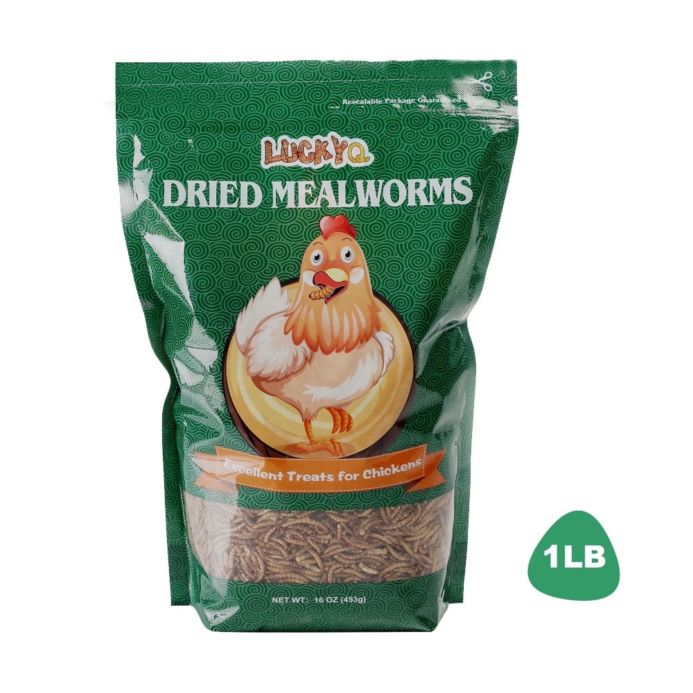 LuckyQ Dried Mealworms for chickens 1 lbs, Organic Pet Supply Meal Worms 100 Natural Treats for