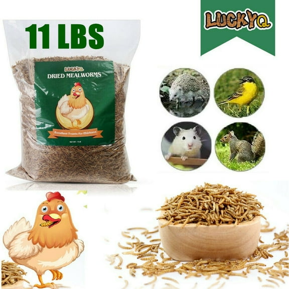 LuckyQworms Dried Mealworms for Chickens, 11 lbs Bag, for Wild Birds, Chickens, Reptiles, Fish