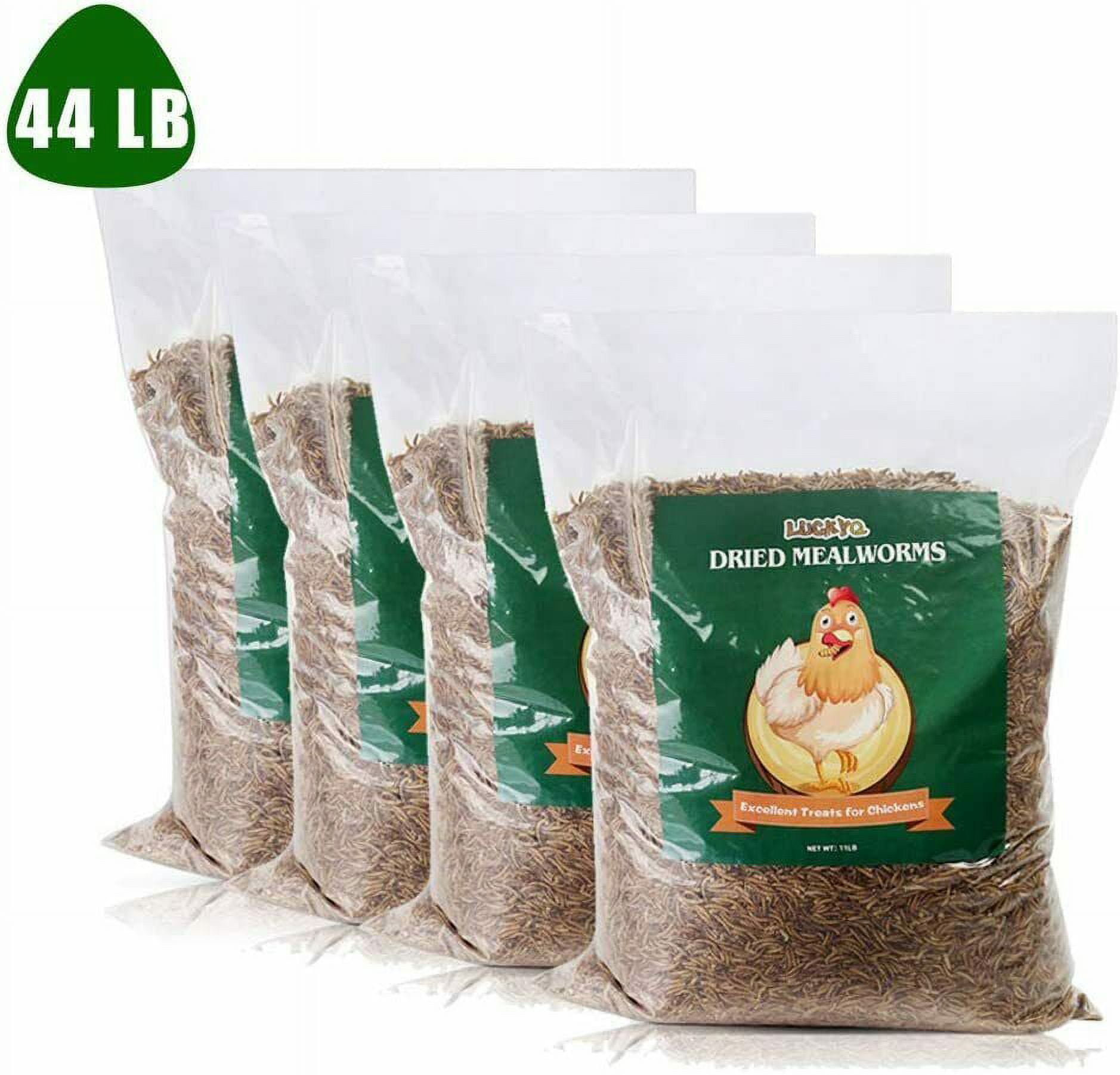 LuckyQ Dried Mealworms for chickens 44 lbs, Organic Pet Supply Meal Worms 100% Natural Treats for Wild Birds, Chickens, Reptiles, Fish, Blue Birds, Turkey, Hamsters Hen, Hedgehog Food
