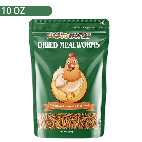 LuckyQworms 10 OZ Premium Non-GMO Dried Mealworms 52% High Crude Protein Chicken Treats for Laying Hens, Wild Birds, Ducks, Reptiles & Small Pets