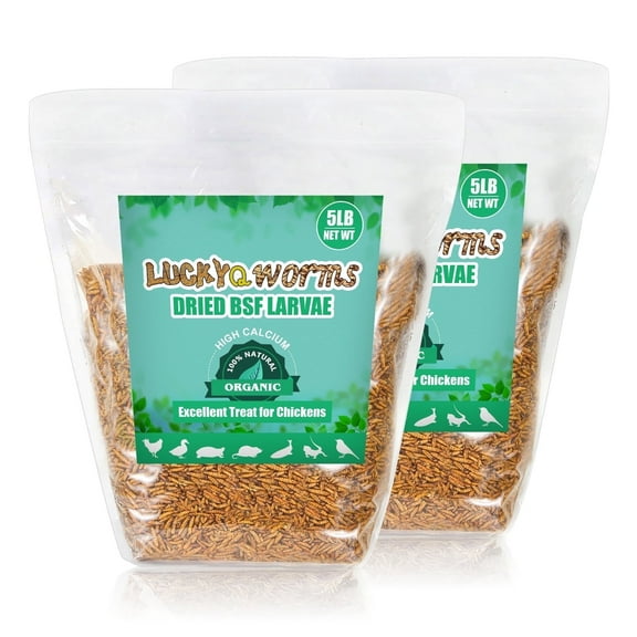 LuckyQworms Dried Black Soldier Fly Larvae, 10 lbs - High Protein Feed for Reptiles, Birds, Poultry, Fish & Rodents