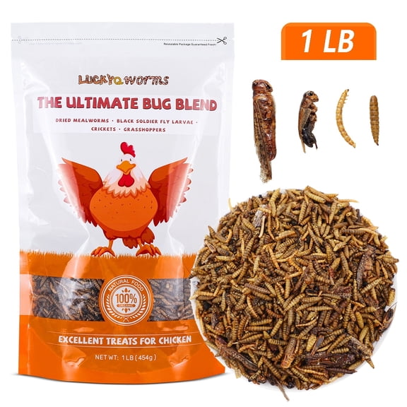 LuckyQworms 1 LB High Protein Reptile Food & Treats, Natural Bug Blend Mealworms, BSF Larvae, Crickets & Grasshoppers for Bearded Dragons, Leopard Geckos, Monitor Lizards & Poultry