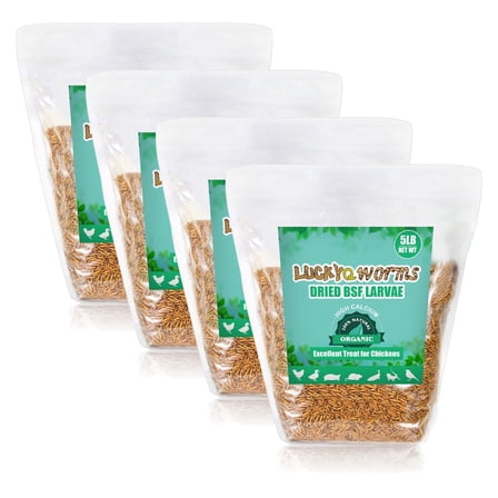 LuckyQworms Dried Black Soldier Fly Larvae Mealworms High Protein Omega-3 for Pets, Birds, Chickens, Fish, 20 lbs