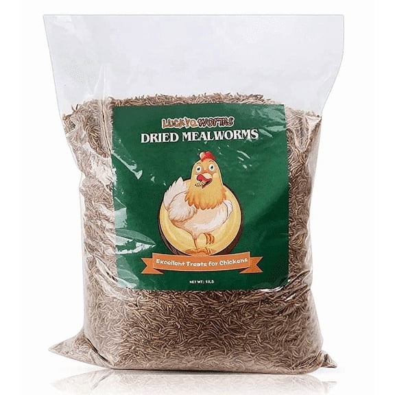 LuckyQworms Dried Mealworms 20 lbs – High Protein, Omega-3 Rich, Natural Feed for Birds, Chickens, Fish, Poultry, Reptiles, Rodents, Small Pets