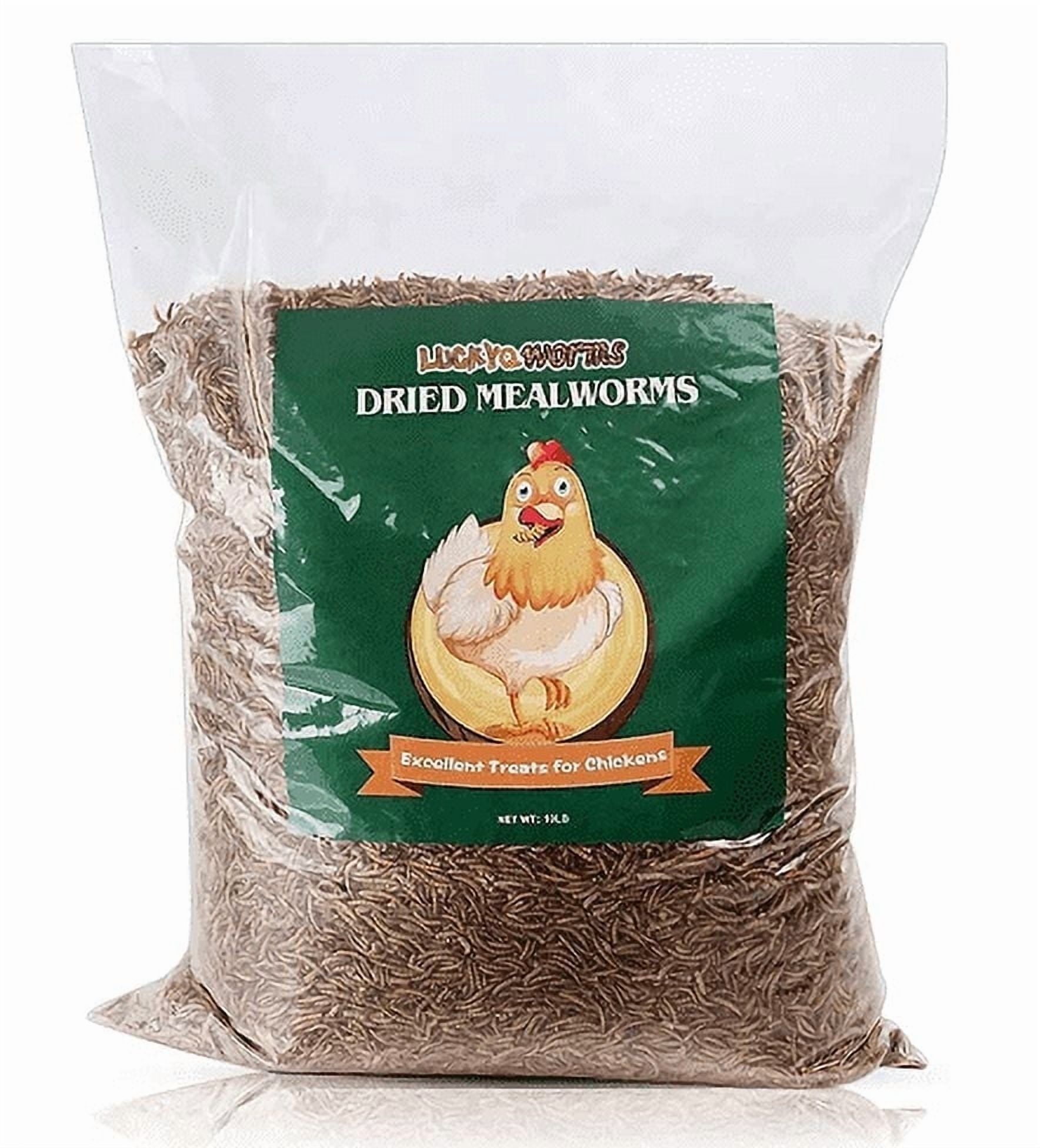 LuckyQworms Dried Mealworms 20 lbs – High Protein, Omega-3 Rich, Natural Feed for Birds, Chickens, Fish, Poultry, Reptiles, Rodents, Small Pets