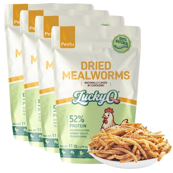 LuckyQworms 44 lbs Dried Mealworms – High Protein, Omega-3, Eco-Friendly Feed for Chickens, Ducks, Birds, Reptiles, Fish, Small Pets