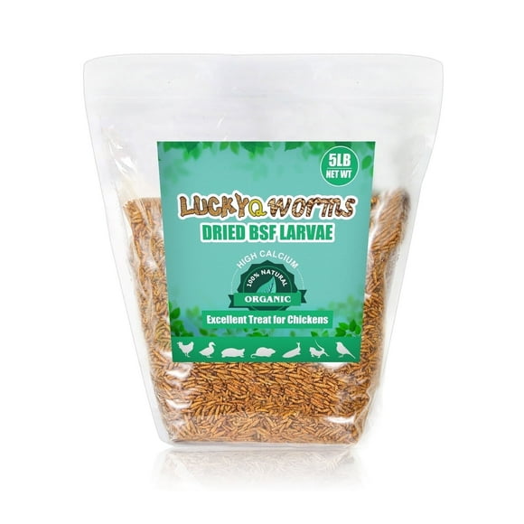 LuckyQworms 5 lbs Dried Black Soldier Fly Larvae – High Protein Feed for Chickens, Ducks, Birds, Reptiles