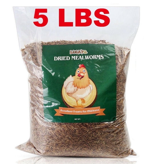 LuckyQworms 5 lbs Dried Mealworms - High Protein Natural Feed for Birds, Chickens, Reptiles & Pets (Omega-3, Non-GMO, Eco-Friendly)