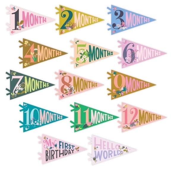 Lucy Darling Little Artist Petit 14 Piece Monthly Baby Milestone Photo Prop Pennants - Unisex