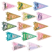Lucy Darling Little Artist Baby Monthly Milestone Pennants, 14-Piece Felt Photo Prop Banner Set, Unisex, 0-12 Months