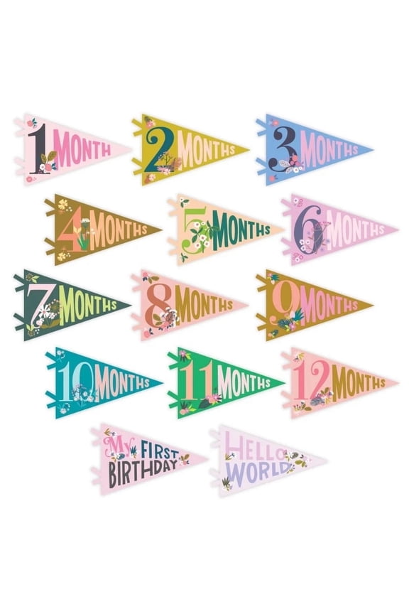 Little Artist Petit 14 Piece Monthly Baby Milestone Photo Prop Pennants - Unisex