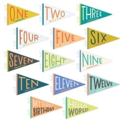 Lucy Darling Little Kaleidoscope Baby Monthly Milestone Pennants, 14-Piece Felt Photo Prop Banner Set, Unisex, 0-12 Months