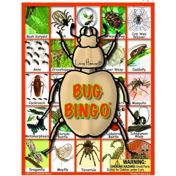 Lucy Hammett Bug Bingo