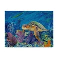 thumbnail image 1 of Lucy P. Mctier 'Loggerhead Turtle' Canvas Art, 1 of 4