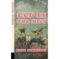 thumbnail image 1 of Lud-in-the-Mist, (Paperback), 1 of 1