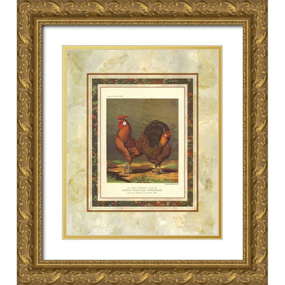 Ludlow, J.W. 12x14 Gold Ornate Wood Framed with Double Matting Museum Art Print Titled - Golden Pencilled Hamburghs, Cassells Poultry Book