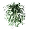 thumbnail image 1 of Ludlz 1Pc Artificial Plant Chlorophytum Flower Arrangement Wall Hanging Decoration, 1 of 2