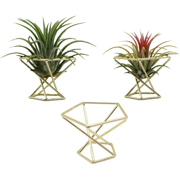 Ludlz 3 pcs Geometric Air Plant Holder Airplants Rack Metal Plants Stand Planter Shelves Living Decor Tillandsia Pot Containers Modern Classic锛坧lant not included)
