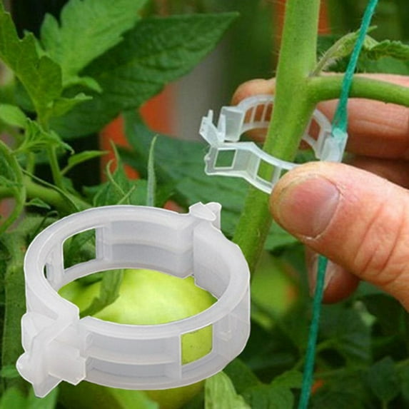 Ludlz 50/100Pcs Clear Hanging Plastic Vegetables Plant Vine Clips Clamp Gardening Tool