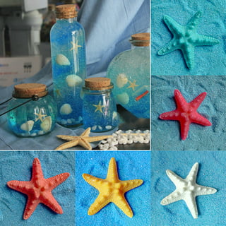 Sugar Starfish, 4 - 6 inch Large Starfish, Sea Star, Starfish Decor, Aquarium Decor, Fish Tank Decor, Starfish for Crafts, Christmas Ornaments, Real S