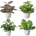 thumbnail image 1 of Ludlz Artificial Foliage Plant Potted Bonsai Wedding Party Home Mall Desk Office Decor, 1 of 2