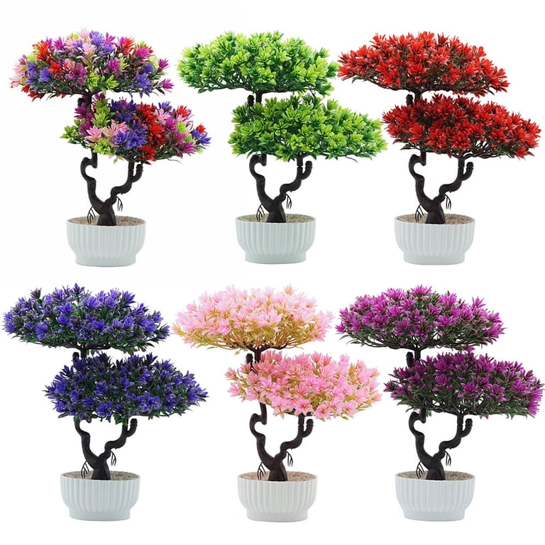 house plant wholesale Easy Care Variety Bundle