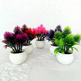 Mini Artificial Succulent Flower Plastic Container Garden Fake Plant Home Decor Mini Artificial Succulent Flower Plastic Container Garden Fake Plant Home Decor