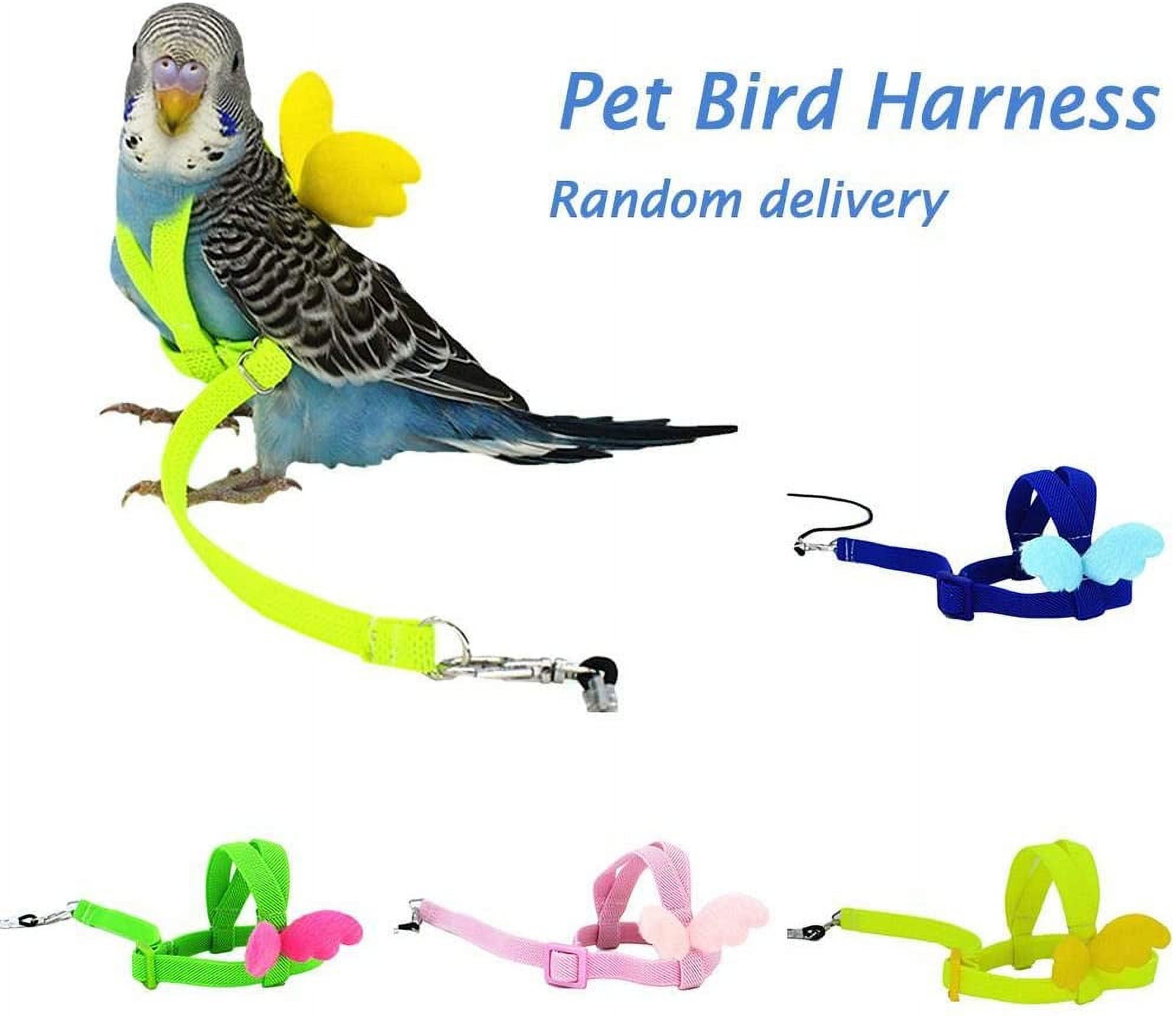 Ludlz Bird Harness, Pet Parrot Bird Harness and Leash Flying Rope Straps  Outdoor Bird Flying Harness Training Traction Rope for Budgerigar Cockatiel