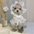 thumbnail image 1 of Ludlz Dog Dress with Matching Hat Lace Dress Skirt for Small Dog Pet Apparel, 1 of 7