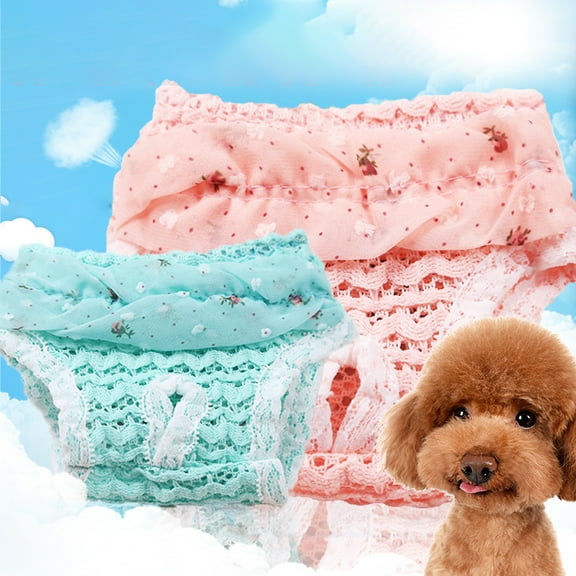 Ludlz Female Dog Diapers, Reusable Washable Pet Cover Up Sanitary Pants, for Small Medium Female Girl Dogs Puppy