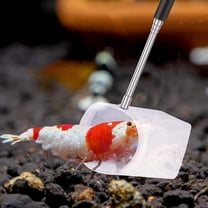 Ludlz Fish Tank Shrimp Net Extendable Handle Shrimp Net Aquarium Stainless Steel Small Fishing Net Fish Shrimp Skimming Net with Adjustable Handle