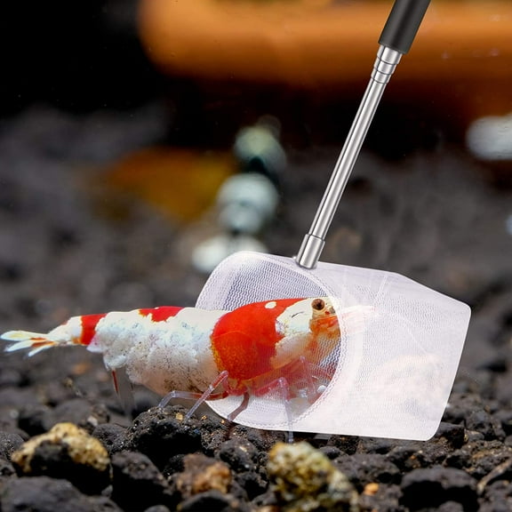Ludlz Fish Tank Shrimp Net Extendable Handle Shrimp Net Aquarium Stainless Steel Small Fishing Net Fish Shrimp Skimming Net with Adjustable Handle