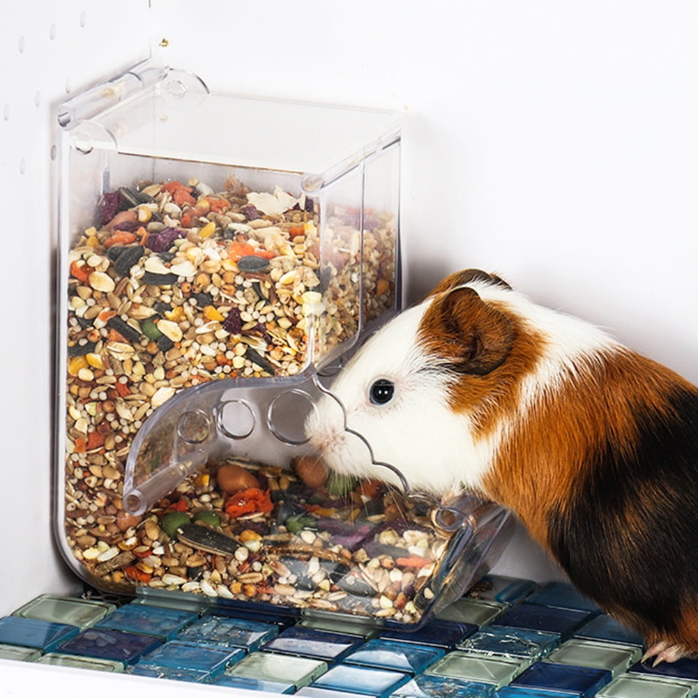 Rabbit Food Dispenser Keep Your Bunny Happy and Fed! Rabbit Food Dispenser Keep Your Bunny Happy and Fed!